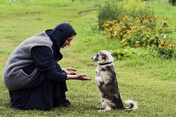 can dogs go to church