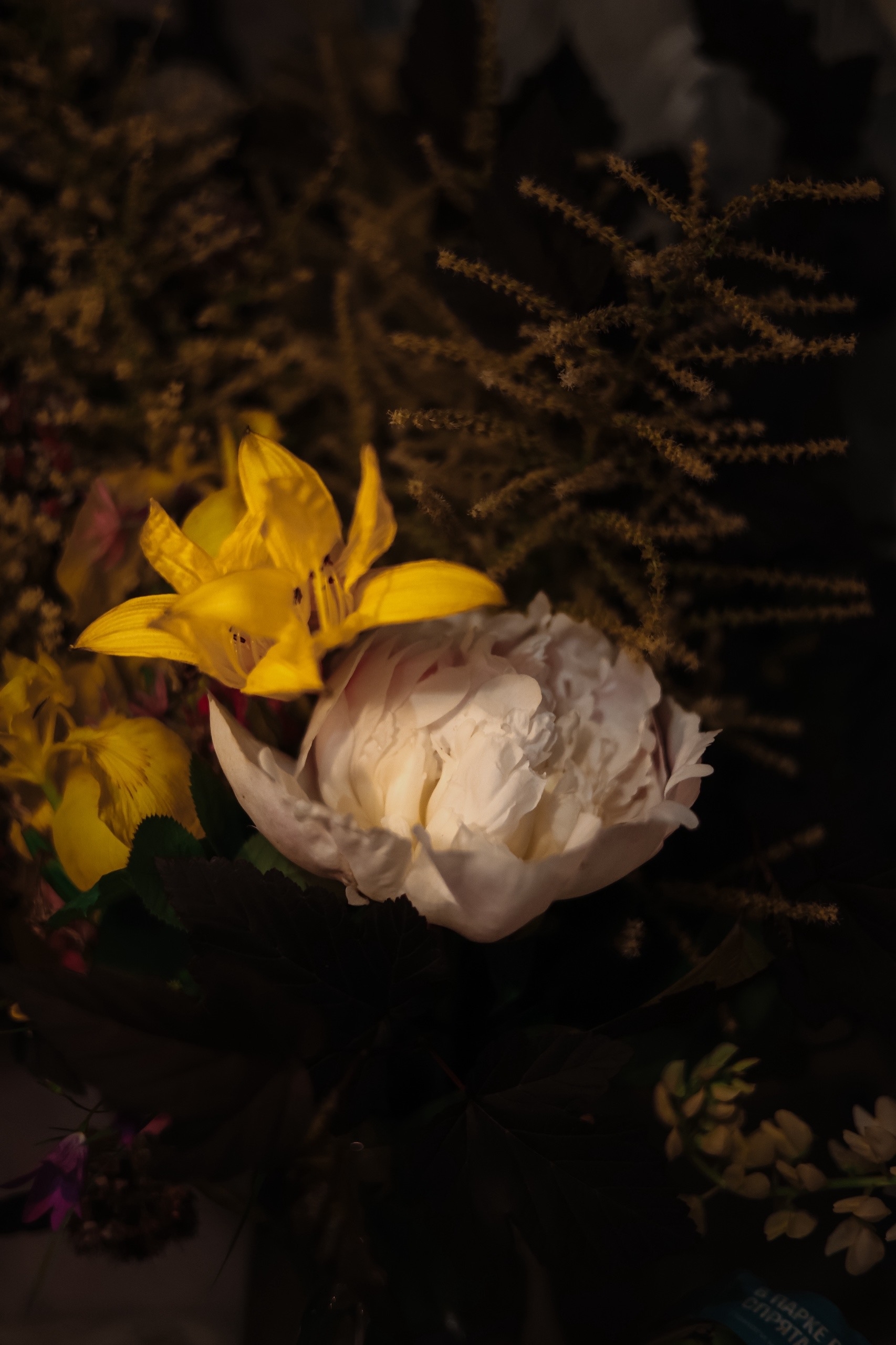 flower in bossom