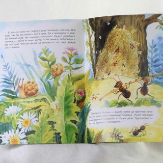 brightly colored book about forest and animals for children 