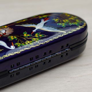Storks Glasses Case