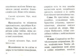 Канон мученику Уару, Book in Russian