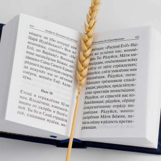 Collection of Akathists to the Most Holy Theotokos