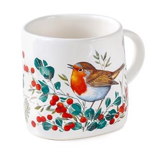 Robin Mug