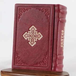 Pocket Holy Gospel in Leather Case (assorted colours)