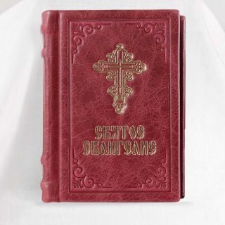 Pocket Holy Gospel in Leather Case (assorted colours)