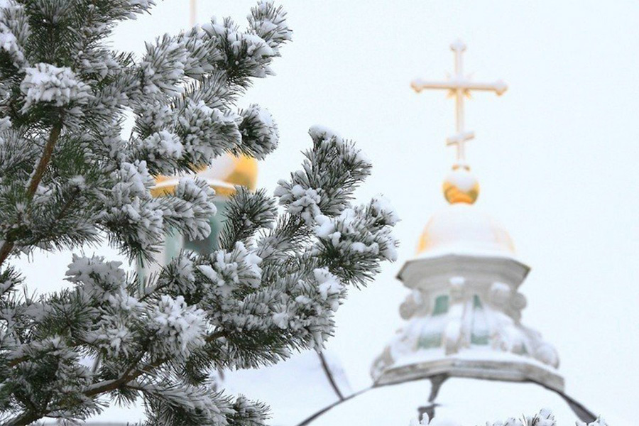 A Christmas Story from the Life of a Priest
